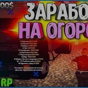 Сколько Можно Заработать На Огороде За День 212 Родина Rp Crmp
