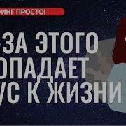 Не Надо Доказывать Надо Просто Иметь Вадим Зеланд