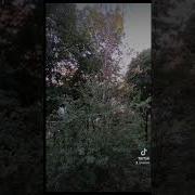 Песня Незаменимый Работник
