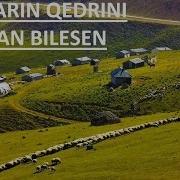 Daglarin Qedrini Hardan Bilesen