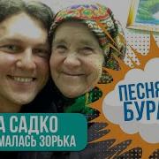 Занималась Зорька Садко