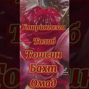 Тугилган Кунинг Билан Табриклайман Малохат