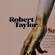 Savage Jeffrey Tice Remix Robert Taylor