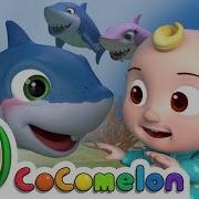 Cocomelon Baby Shark