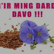 Зигир Минг Дардга Даво
