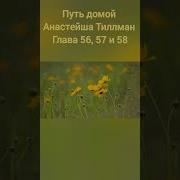 1805 Путь Домой Анастейша