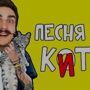 Mikha Zen Песня Про Яйцо Тренд