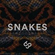 Snakes Thaibeats