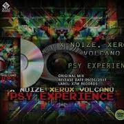 Xerox Psy Experience