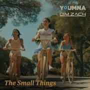 Dim Zach The Small Things Feat Dim Zach