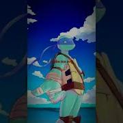 Tmnt 2016 Tmnt Raph X Leo Toxic