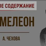 Хамелеон Краткое Содержание