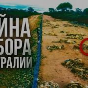За Стенами Терры
