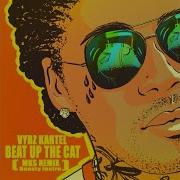 Beat Up The Cat Mks Remix Boasty Instru Vybzkartelradio