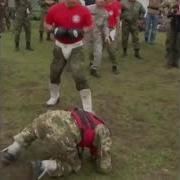 Бригада Бои Без Правил Книга 1