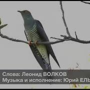 Аватать Куккук Чарами