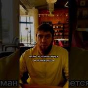 Муфти Насихат