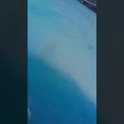 Ай Блять Уебался