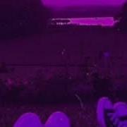 Пошлая Молли Типичная Вечеринка С Бассейном Slowed