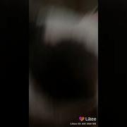 Чёрная Я Кошка Наглая Немножко