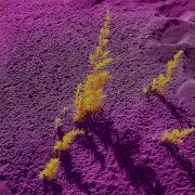 Sickick Infected Slowed Reverb Kausak Topic
