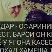 Модар Дилам Танге Бароят