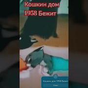 Владимир Башлыкова Бежит
