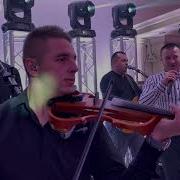 Остра Тернина Цвитэ Калина