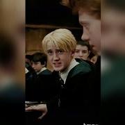 Учишься Болету Потерр