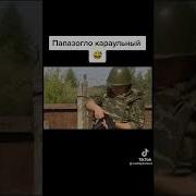 Как Папазогло Чуть Не Застрелил