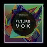 Future Vox 250 Key Labelled Vocal Runs And Loops Skifonix Sounds