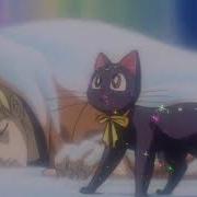 Sailor Moon Луна Кошка
