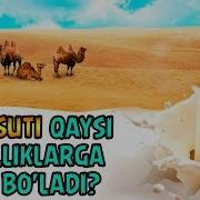 Tuya Suti Haqida Hd