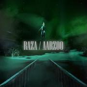Infrno Raza Aarzoo
