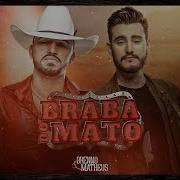 Braba Do Mato Brenno Matheus