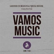 Crazy For You Martin Sharp Remix Lizzie Curious Nick Hook
