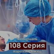 Зимородок 108