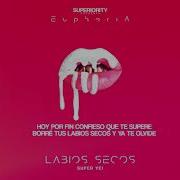 Labios Secos Super Yei