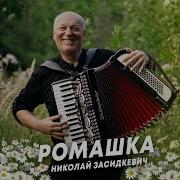 Николаи Засидкевич Ромашка Новинка 2023