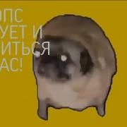Гонщик Нелегальный 10 Часов