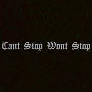 Cant Stop Wont Stop C Wells