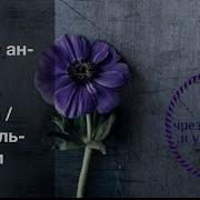 Сура 4 Ан Ниса Саад Аль Гамиди