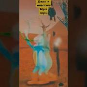 Владимир Башлыкова Фрагмент