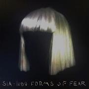 Elastic Heart Sia Slow Version