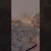 Нашид Зима На