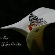 Chris Rea Sing A Song Of Love