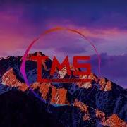 I M A Survivor Tms Remix