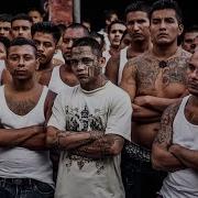 Ms13 Rap