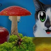 Анука Давайка Сок Из Яблок