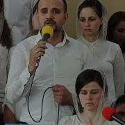 Боже Ниви Так Поспіли Вже До Жнив